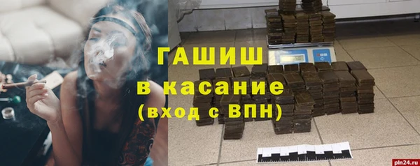 твердый Арсеньев