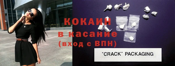 твердый Арсеньев