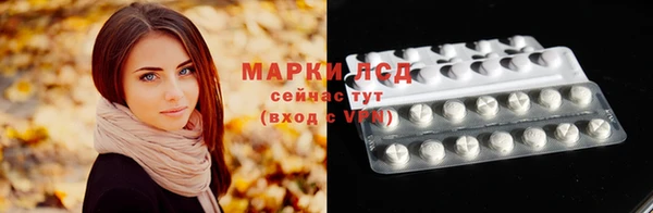 твердый Арсеньев
