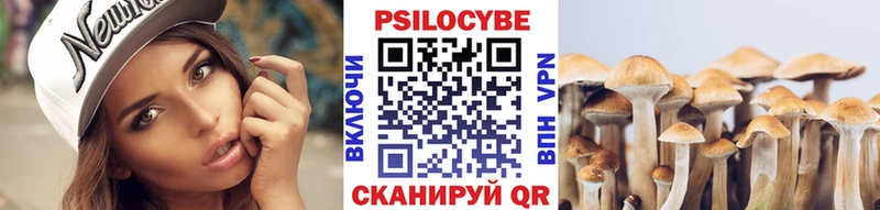 где купить наркотик  Тара  kraken как войти  Галлюциногенные грибы прущие грибы 